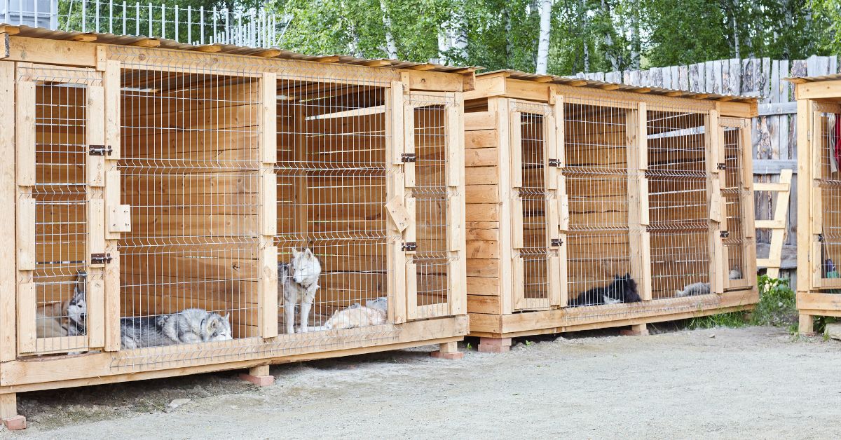 Barker’s sold to Corporate Buyer Banner