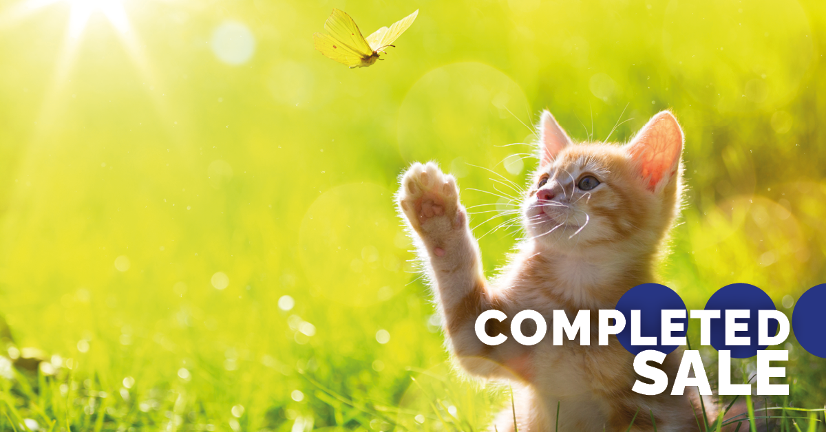 Almora Cattery sold to First-Time Buyer Banner